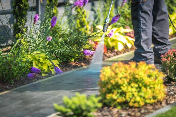 Best Driveway Pressure Washing  in Delray Beach, FL